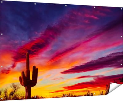 Gards Tuinposter Cactus bij Oranje Zonsondergang - 180x120 cm - Tuindoek - Tuindecoratie - Wanddecoratie buiten - Tuinschilderij