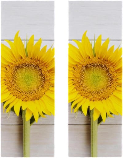 Microvezel Handdoeken - Sporthanddoeken - Zweet Afnemen - Super Absorberend - 30x80 cm - Meerkleurig
