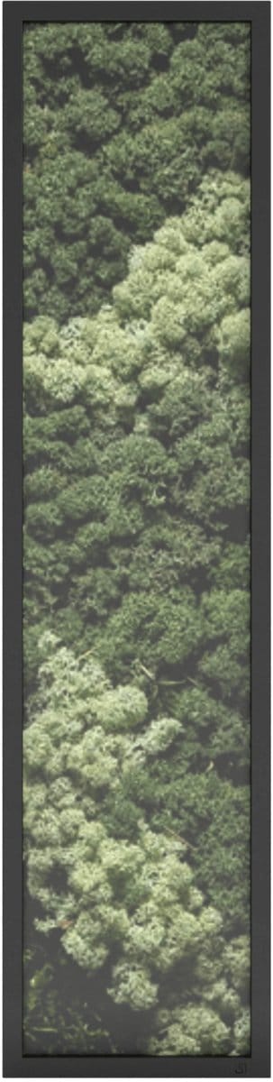 Steellish Designer Mosschilderij - Moswand - Metaal - Zwart - 40x160cm