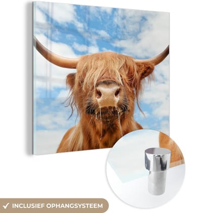 MuchoWow® Glasschilderij 50x50 cm - Schilderij acrylglas - Schotse Hooglander - Wolk - Dieren - Foto op glas - Schilderijen