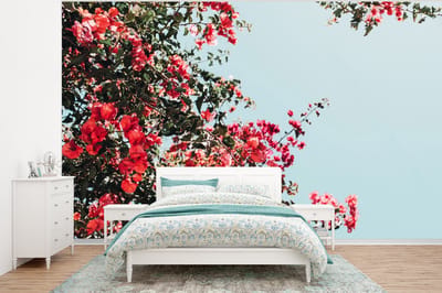 Behang - Fotobehang Bloemen - Lucht - Roze - Breedte 320 cm x hoogte 240 cm