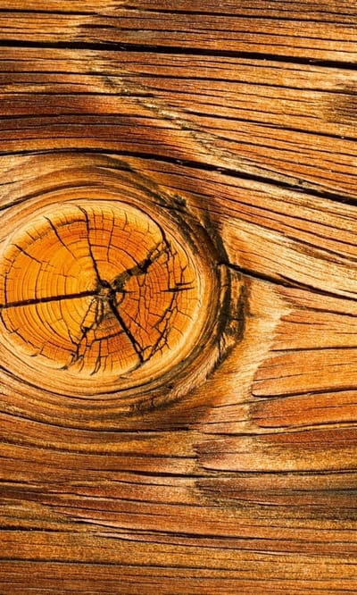 Fotobehang - Wood knot 150x250cm - Vliesbehang