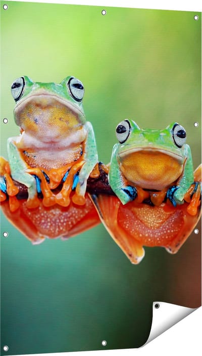 Gards Tuinposter Twee Boomkikkers op een Tak - 80x120 cm - Tuindoek - Tuindecoratie - Wanddecoratie buiten - Tuinschilderij