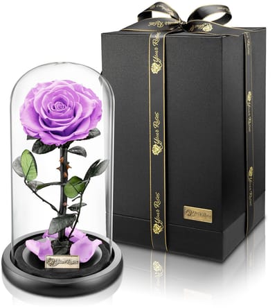 Dailygoods- Roos Echte Premium Roos in Glas - Geschenkdoos - Lange Houdbaarheid - Stijlvol Cadeau - Bewijs van Liefde - Perfect voor Elke Gelegenheid - Bloem