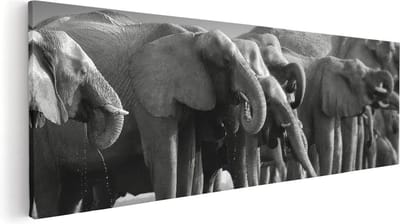 Artaza Canvas Schilderij Olifant - 60x20 cm - Wanddecoratie Woonkamer - Muurdecoratie Dierenkop - Kamer Accessoires Afrikaanse Dieren
