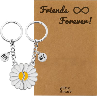 BFF Sleutelhanger voor 2 ' Friends Forever' - Magnetische Bloem - Sleutelhanger set op Cadeau Kaartje - Zilverkleurig - Vriendschap Symbool - Pax Amare