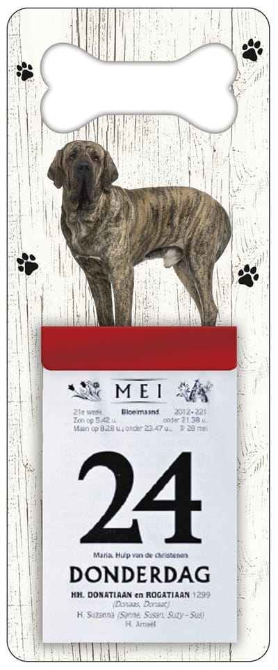Scheurkalender 2027 Hond: Fila Btasileiro
