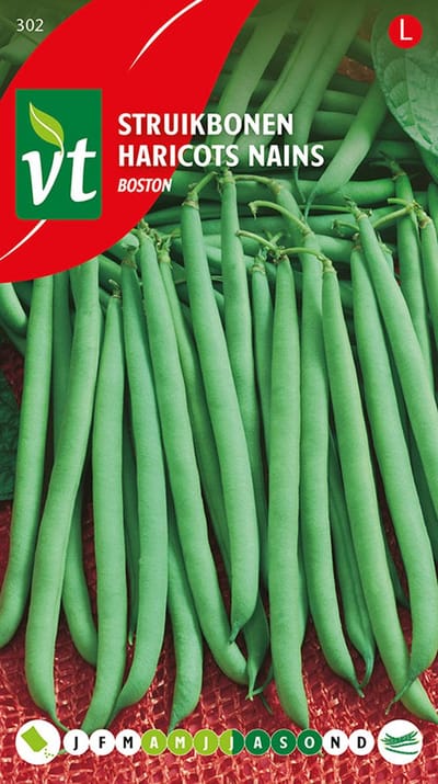Bonen Ampere - Fijne, knapperige boontjes van 14-15 cm lang