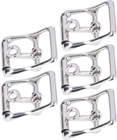 Gürtelschnallen Set van 10, Glanzende Zinklegering voor DIY Projecten, Ideaal voor Camping, Lederhandwerk en Huisdieraccessoires