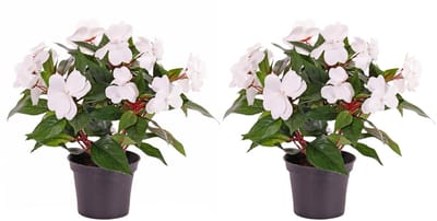 Kunstplant Vlijtig Liesje - 2x - heester - wit - 25 cm - kunstbloemen