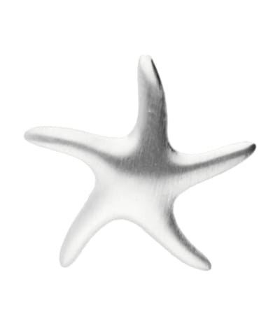 Zilveren Zeester mat klein kettinghanger