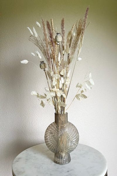 Droogbloemen – Boeket madelief incl. schelpvaas - La Florista - Witte droogbloemen - Natural - Neutrale droogbloemen - Beige droogbloemen