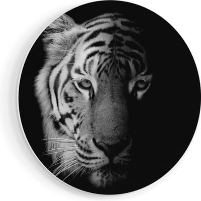 Artaza Forex Muurcirkel Tijgerkop - Tijger - Zwart Wit - 70x70 cm - Wandcirkel - Rond Schilderij - Wanddecoratie Cirkel - Muurdecoratie