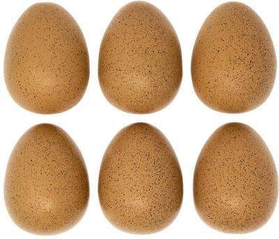 Set van 6 Sensorische Rammelaars Eieren voor Jonge Kinderen