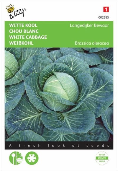 Buzzy Zaden - Witte Kool Langedijker Bewaar - Brassica oleracea