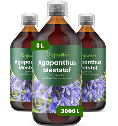 Vloeibare Meststof Voor Agapanthus - 3X1 L Voor 3000 L - Npk 2-1-8 - Voor Levendige Bloemschermen - Knopvorming - Rechtopstaande Bloemstelen - Kkrachtige Wortelontwikkeling - Hittebestendig - Bodemleven - Organifer