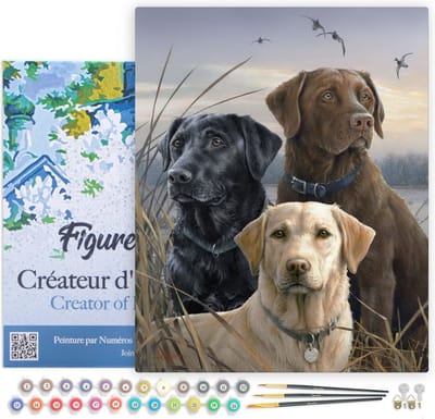 Figured'Art Schilderen op Nummer Volwassenen met lijst - Drie Labradors - Handwerk acrylverf Kit DIY Compleet - 40x50cm Canvas al ingelijst
