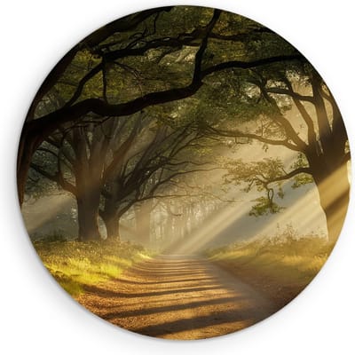 Saammp Muurcirkel Hout - Landschap - Zonneschijn op een pad tussen de bomen - Natuur - Ø 90 - Wandcirkel - Wanddecoratie Cirkel - Muurdecoratie Woonkamer - Slaapkamer decoratie - Rond Schilderij