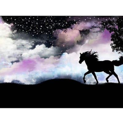Diamant borduurwerk volledige ronde/ronde paard diamant schilderij kruissteek dieren foto 20X30CM gray