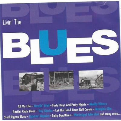 CD DIVERS - Livin' The Blues MBU13502 Direct Source S 2002 US Blues Occasion blue