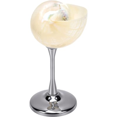 Coupe à Vin Coquillage Unique Élégant Calice Coquillage Verres à Cocktail pour Anniversaire Mariage Anniversaire Fête Type 2