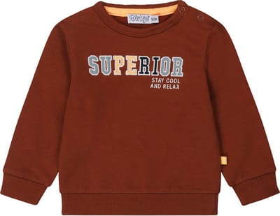 Dirkje - S-SUPERIOR Jongens Trui - Maat 56