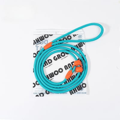 Laisse de dressage pour chien de compagnie 150 cm en nylon léger avec chaîne en P réglable pour chiens de petite et moyenne taille bleu