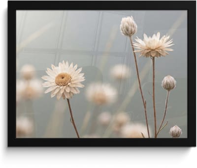 Poster in lijst - Fotolijst 40x30 cm - Posters - Strobloemen - Wit - Daglicht - Posterlijst zwart - Decoratie - Wanddecoratie woonkamer - Muurdecoratie slaapkamer