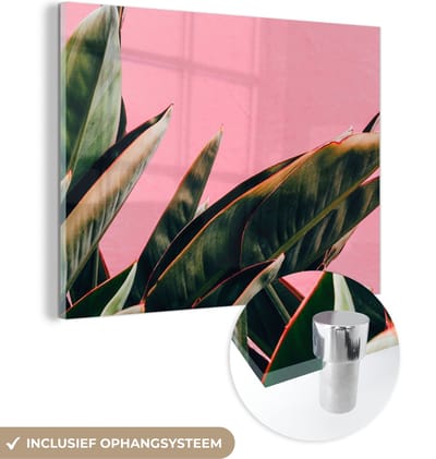 MuchoWow® Glasschilderij 40x30 cm - Schilderij acrylglas - Planten - Bladeren - Vrouwentong - Roze - Tropisch - Foto op glas - Schilderijen