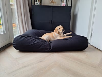 Dog's Companion Hondenkussen / Hondenbed - L - 115 x 85 cm - Zwart Canvas/Katoen