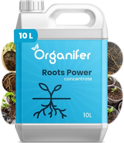 Wortelstimulator (10L) Roots Power Concentraat - Stekmiddel - Betere en Snellere Wortelontwikkeling - Universeel - o.a. Voor Kweken en Stekken - Verplanten - Ontwikkelfase - Vergroot Voedingsstoffen Opname en Resultaat - Organifer