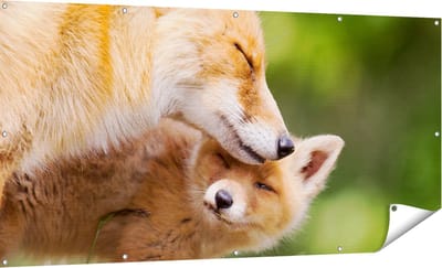 Gards Tuinposter Moeder Vos met haar Welp - 180x90 cm - Tuindoek - Tuindecoratie - Wanddecoratie buiten - Tuinschilderij