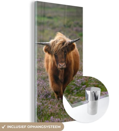 MuchoWow® Glasschilderij 20x40 cm - Schilderij acrylglas - Schotse Hooglander - Heide - Dieren - Foto op glas - Schilderijen