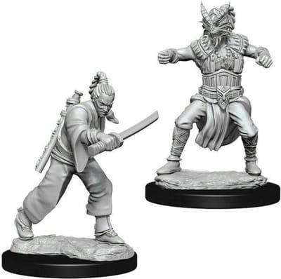 D&D Nolzur's Marvelous Miniatures - Male Human Monk