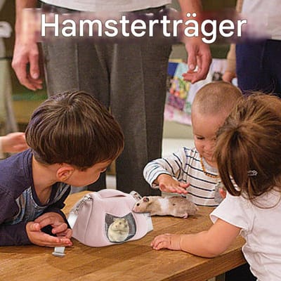 Kleine huisdierdraagtas, ademende reistas voor huisdieren, draagbare, wasbare tas, opvouwbare reistas voor katten/kleine honden/puppy's met schouderriem en afneembare mat