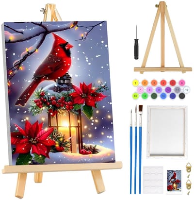 Dailygoods- Kerstschilderij met Lijst - Schilderen op Nummer Volwassenen - DIY Kunst Kits - Creatieve Vrije Tijd - 20 x 30 cm - Voor Beginners