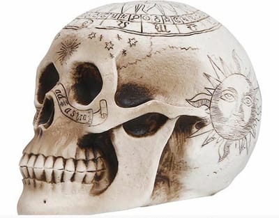 Fiestas Guirca Decoratie schedel/doodshoofd spiritueel - 20 cm - Horror/Halloween kerkhof thema tafeldecoratie