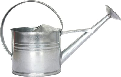 Watergieter voor buiten - ovaal - zink - 7,3 liter - 37 x 20 x 61 cm - tuin - planten water geven