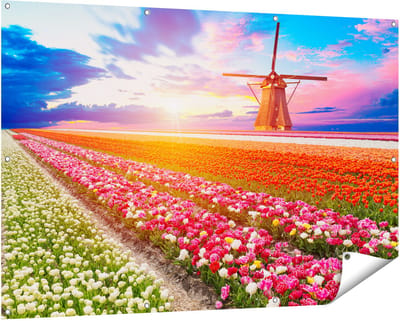 Gards Tuinposter Kleurrijke Bloemenveld met een Windmolen - 150x100 cm - Tuindoek - Tuindecoratie - Wanddecoratie buiten - Tuinschilderij