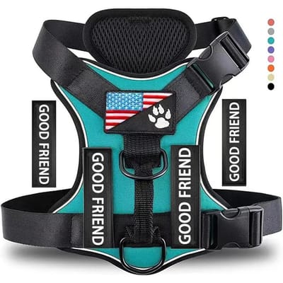 Harnais pour chien, Harnais Gilet réfléchissant pour chien avec 5 pièces de Patchs, Harnais pour animal de compagnie réglable en Oxford souple, Maille intérieure, Facile à T (green,M) vert