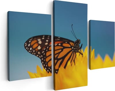 Artaza Canvas Schilderij Drieluik Oranje Vlinder Bij Een Zonnebloem - 90x60 - Foto Op Canvas - Canvas Print
