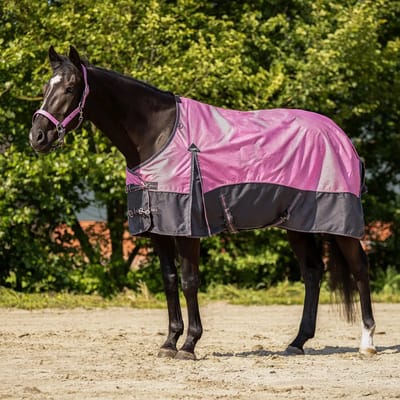 Outdoor paardendeken QHP