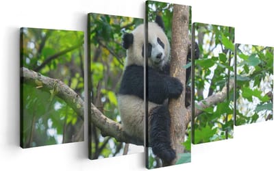 Artaza Canvas Schilderij Vijfluik Panda in de Bomen - 100x50 - Foto Op Canvas - Canvas Print