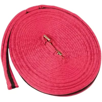 Verlengde longe voor paarden met vulling Kincade Brights