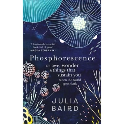 Phosphorescence - Julia Baird