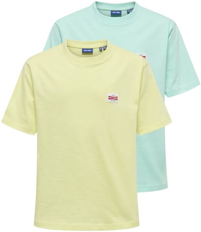 ONLY & SONS JUNIOR T-shirts OSJFRED 2-pack T-shirts