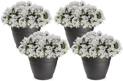 Plasticforte Plantenpot - 4x - antraciet - kunststof - rond - D30 cm -Bloempotten - binnen/buiten