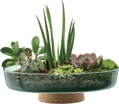 L.S.A. - Canopy Plantenschaal op Voet ø 28 cm - Transparant
