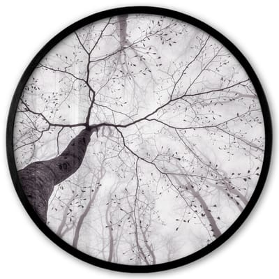 Poster in lijst Rond - Fotolijst 40x40 cm - Posters - Boom - Takken - Bladeren - Mist - Ronde posterlijst zwart - Decoratie - Wanddecoratie woonkamer - Muurdecoratie slaapkamer
