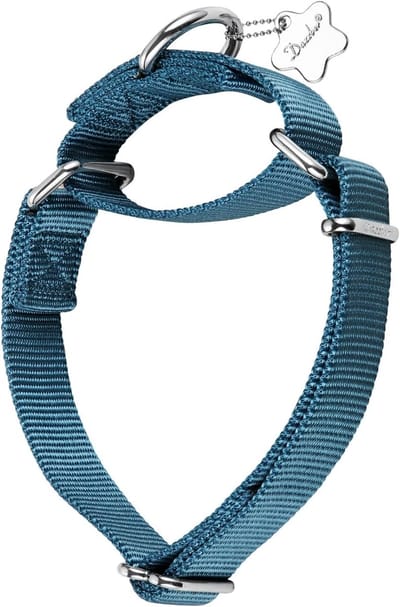Verstelbare Martingale halsband voor honden - Duurzaam en comfortabel - Effen kleur nylon halsband voor grote, middelgrote en kleine honden (medium, 36-53 cm) - Haze Blue